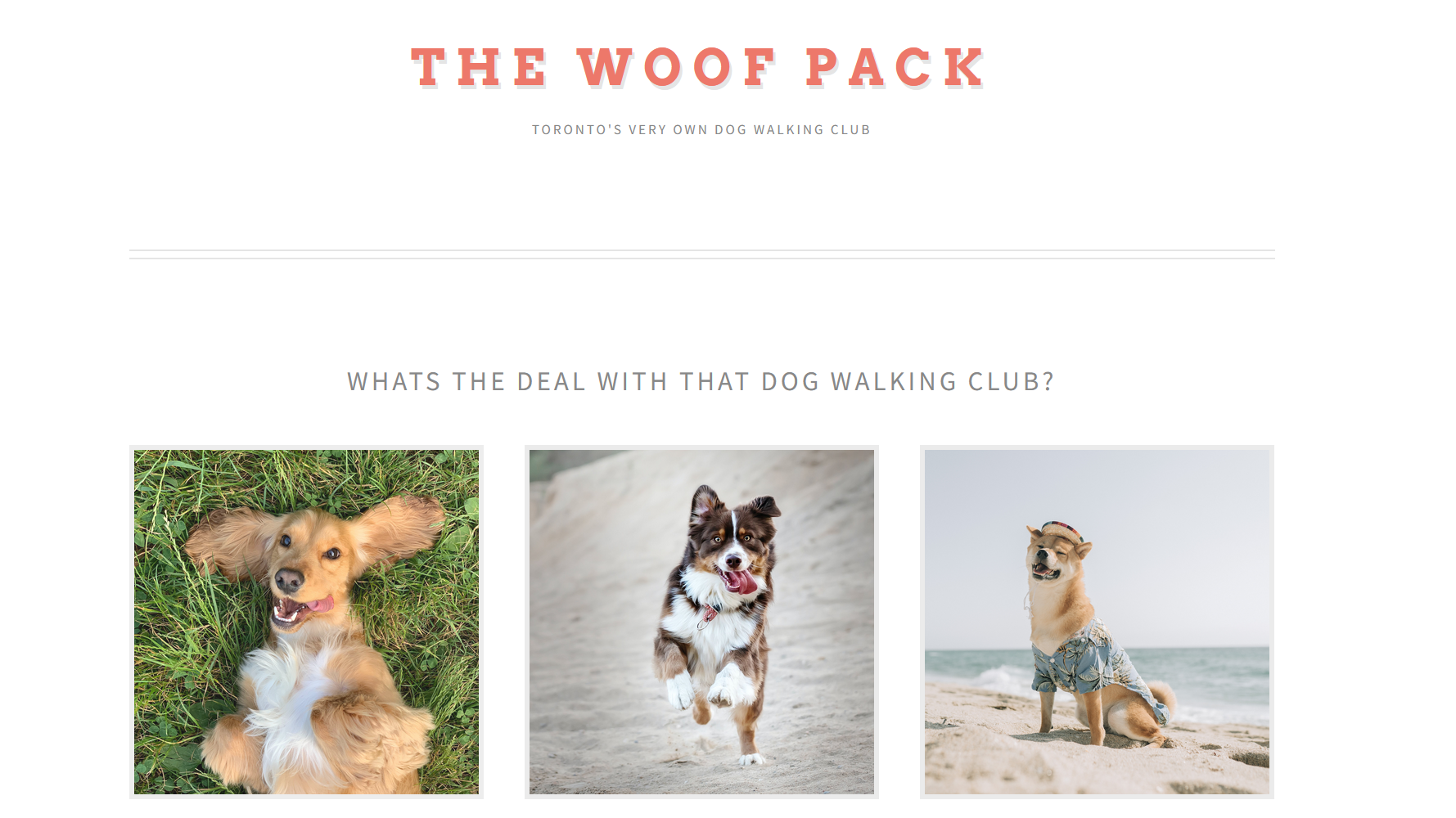 The Woof Pack Website